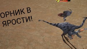 ОРНИК В ЯРОСТИ!