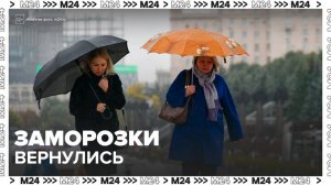 Заморозки вернулись в Московский регион - Москва 24