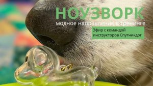 Эфир про ноузворк