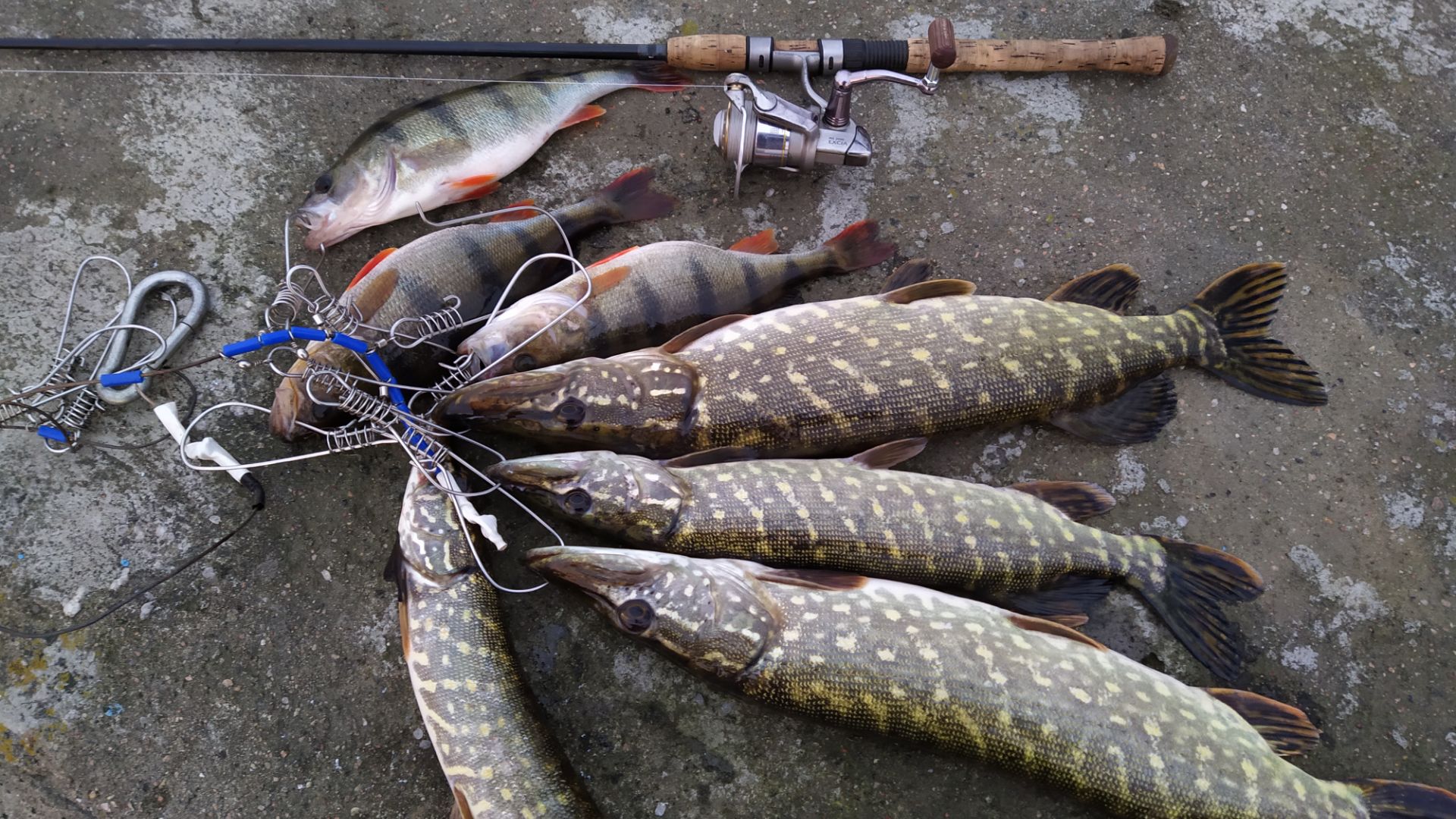 Щука НЕ Даёт Уехать с озера!!! Ловля щуки с лодки.  Рыбалка на щуку весной .