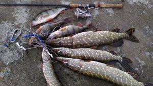 Щука НЕ Даёт Уехать с озера!!! Ловля щуки с лодки.  Рыбалка на щуку весной .