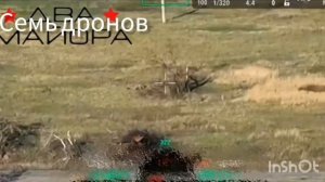 Семь дронов