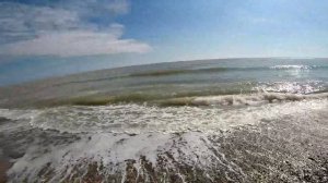 ЖЕРТВА ЭКОЛОГИИ ЧЁРНОЕ МОРЕ