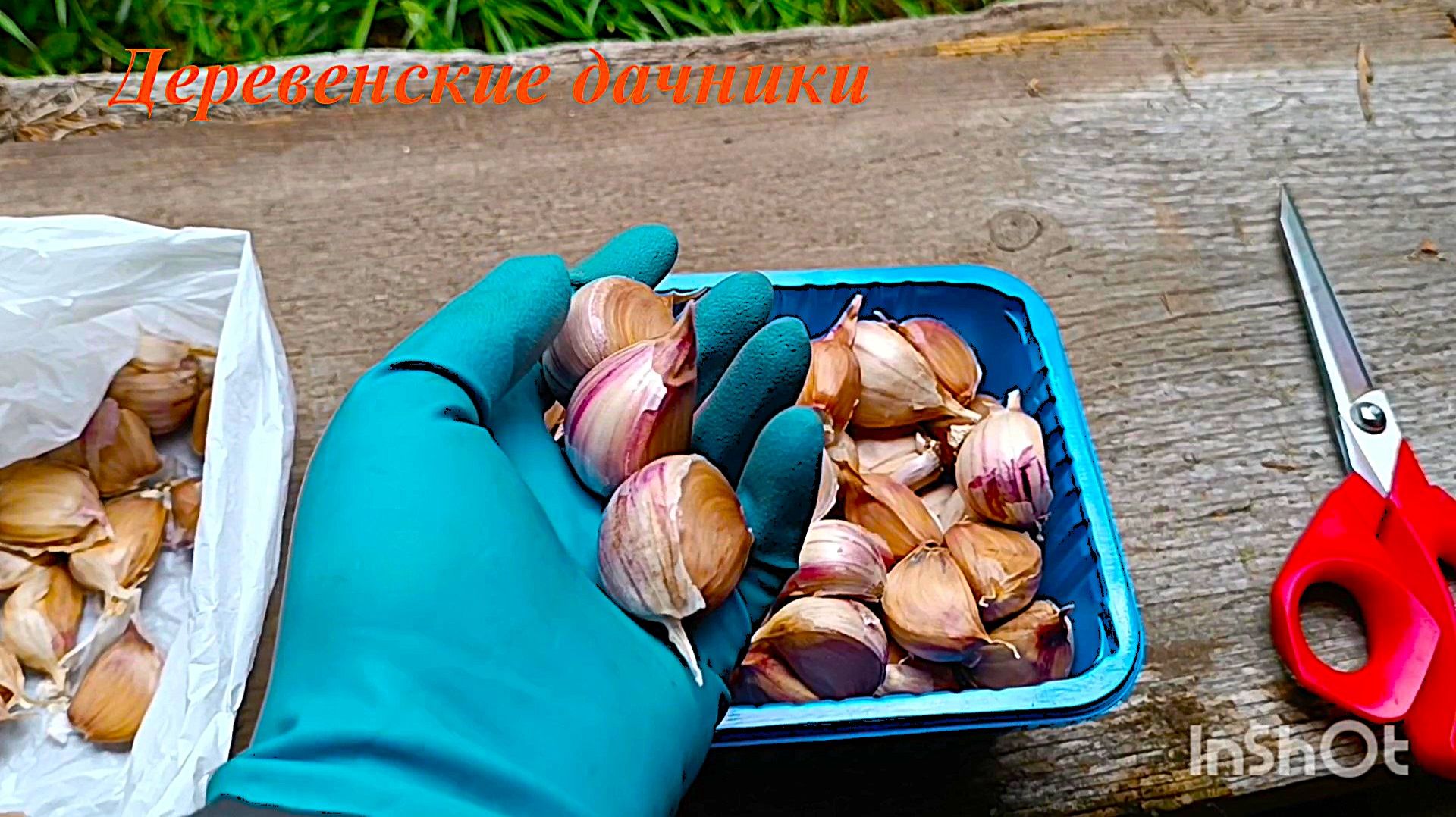 Муж на рыбалку, я - в огород. Посадила озимый чеснок. Деревенские дачники.