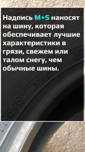 Triangle TR646 летняя резина на ГАЗель #воколесо