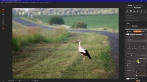 Как быстро обработать фото и привлечь внимание к главному объекту съемки в программе "ON1 Effects"