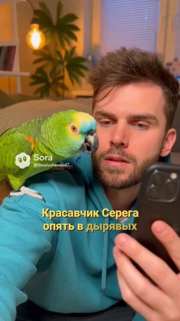Попугай прикол #попугай #прикол #смешно #shorts #trend #youtube #шуточное #смешновидео #мем