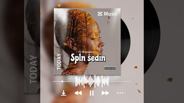 Spln šedín ( DJ SkorpionJasod )