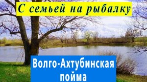 Ерик Ст. Ахтуба. Волго-Ахтубинская пойма. Апрель 2026 г.