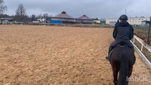 Прогулка на лошадях после тренировки