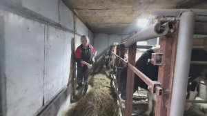 Из города в деревню. Деревенский фитнес.