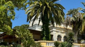 В тишине ночи... О Сочи!