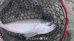 Свежевыловленный САШИМИ ИЗ СЫРОГО ЛОСОСЯ / Зимний кемпинг из фургона в Новой Зеландии [Часть 2]