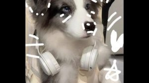 Идейка для моих ав❤️❤️❤️