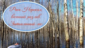 Двухдневный сплав по реке Нерская. Разлив, начало апреля,  2026 год.
