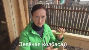 Скоро будем петь Христос Воскресе!  Начало апреля 2026 года. Обед на огороде в преддверии Пасхи.