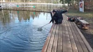 До запуска поимки форели на резину,   после - как на блёсны, так и на силикон. Клёвое место, Лосинка