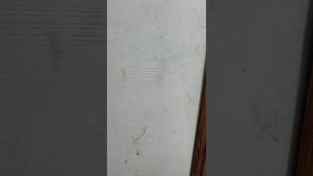 1000002640.mp4