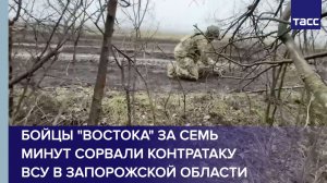 Бойцы "Востока" за семь минут сорвали контратаку ВСУ в Запорожской области