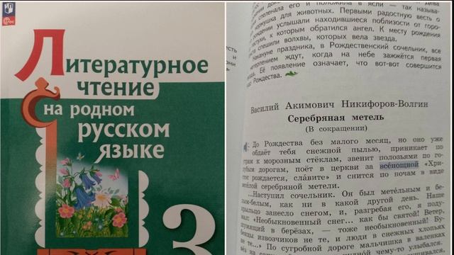 Серебряная метель