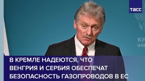 В Кремле надеются, что Венгрия и Сербия обеспечат безопасность газопроводов в ЕС