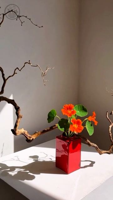 Логика икебаны.