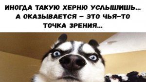 О шортах перед дивидендным сезоном