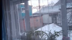 6.04.26. Взошли огурчики. Посадила лучок в теплице. Вешаем занавески.