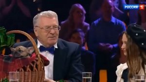 Андрей-Французский бульдог - Сергей Сергеев bonniebullz.ru