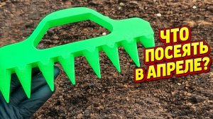 Посейте ЭТО в АПРЕЛЕ?