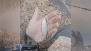 Сезон 2026 по открытой воде открыт!