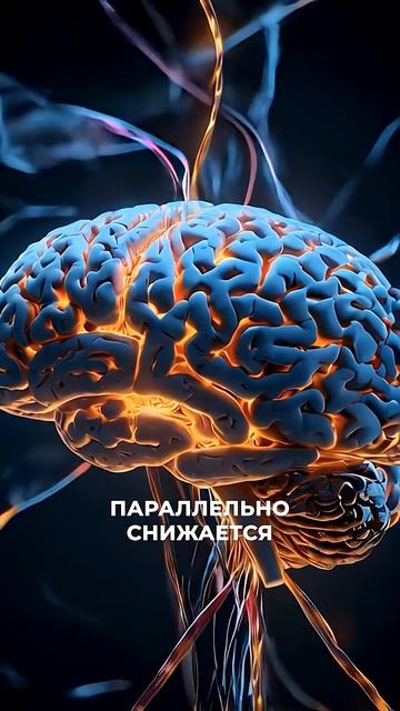 Самая полезная привычка