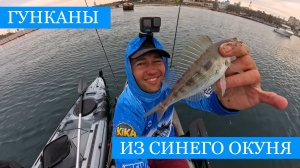 Экзотика на берегу Чёрного моря - весенняя рыбалка на синего окуня в Севастополе!