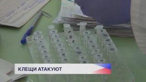 Новости "Волга 24" 02.04.2026 15:00