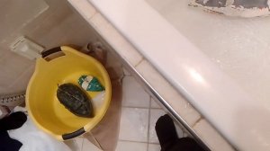 Получилось не очень у меня не было мотивации простите и идей