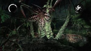 Ядовитый плющ