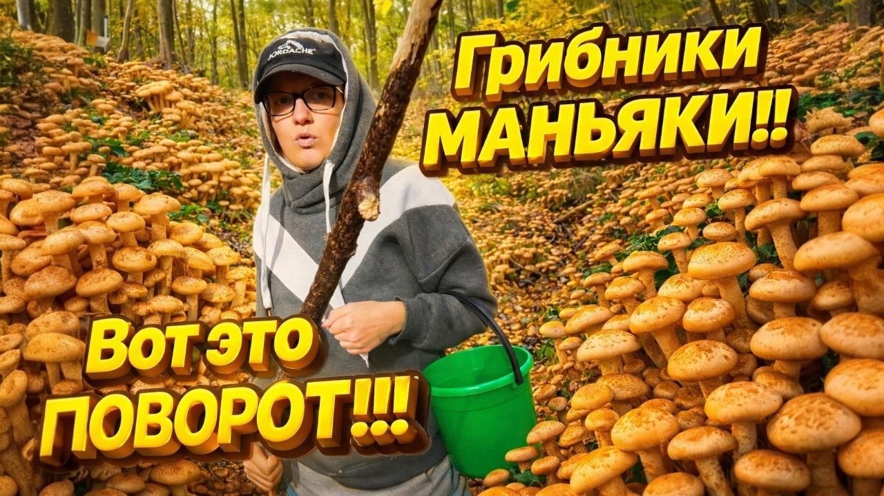 КУПИЛИ ДОМ В ДЕРЕВНЕ | Грибники маньяки | Вот это поворот | Дом в деревне