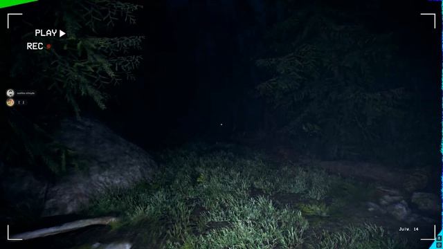 ЛЕС ЛЕСОЧЕК