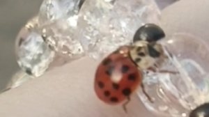 доброго времени 🫶