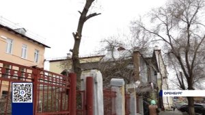 ЖИТЕЛИ ДОМА НА ПРОЛЕТАРСКОЙ БОЯТСЯ КЛЕНА