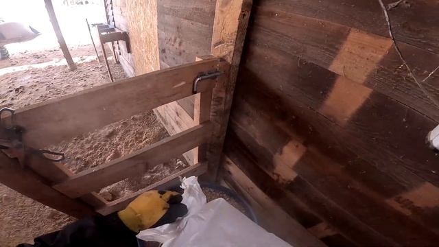 Продам машину ! Как там страус ? Корм привез ! ХУТОР В ЛЕСУ №977