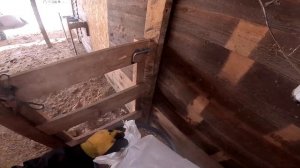 Продам машину ! Как там страус ? Корм привез ! ХУТОР В ЛЕСУ №977