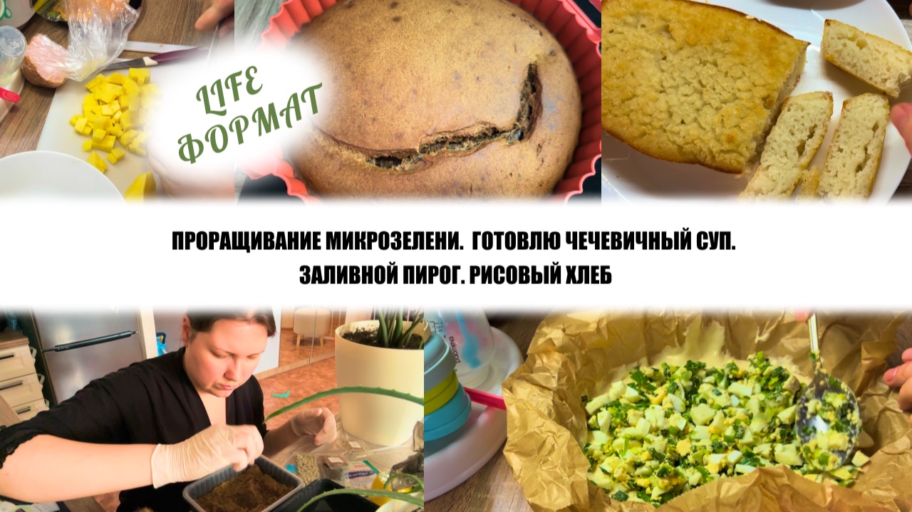 ПРОРАЩИВАНИЕ МИКРОЗЕЛЕНИ.  ГОТОВЛЮ ЧЕЧЕВИЧНЫЙ СУП. ЗАЛИВНОЙ ПИРОГ. РИСОВЫЙ ХЛЕБ