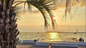 И это Сочи в марте!