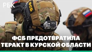 ФСБ задержала мужчину за подготовку теракта против курского чиновника