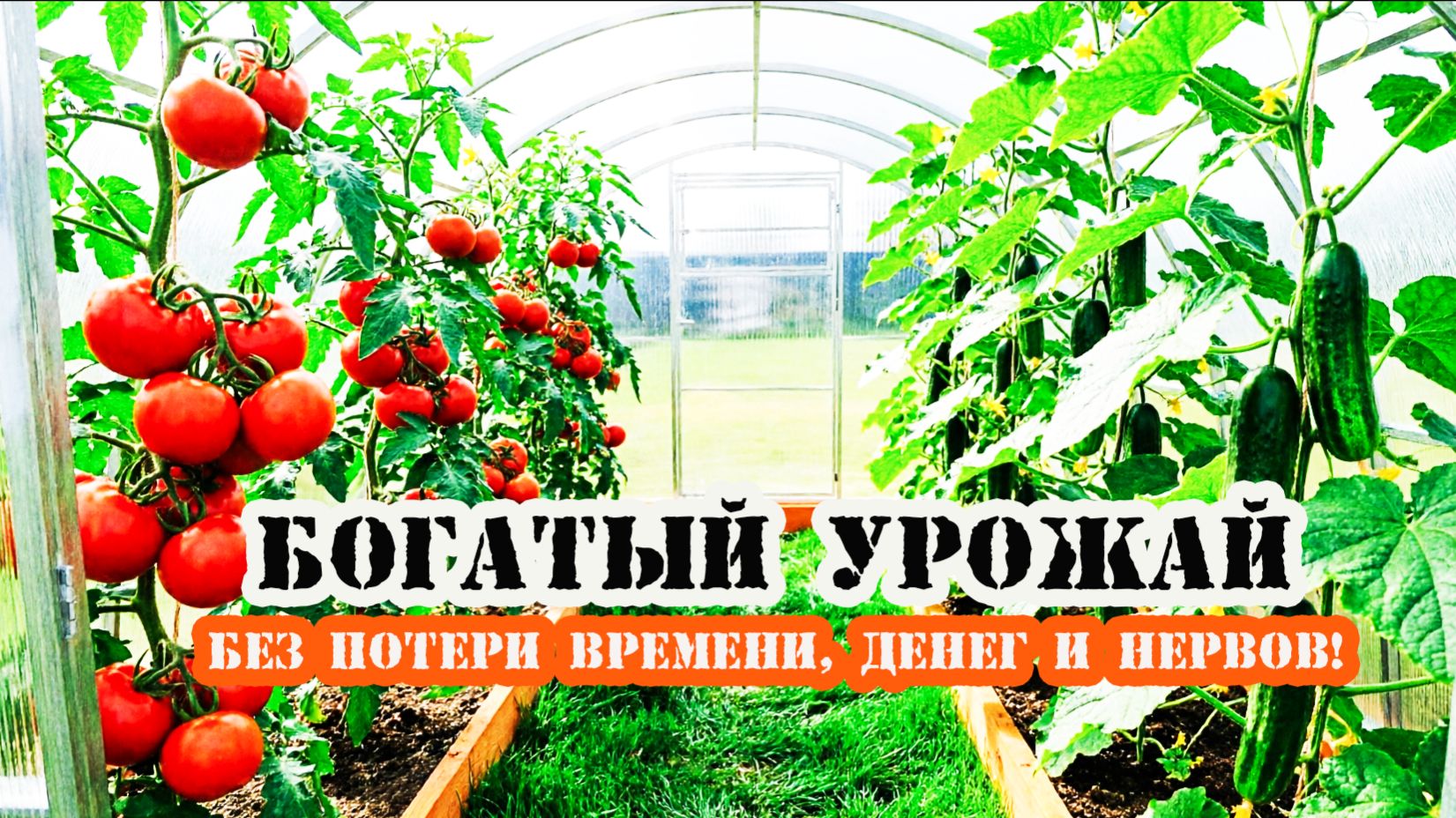 Чтобы рос огурец, наливался помидор  - заказывайте нашу теплицу! С гарантией богатого урожая!