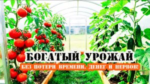 Чтобы рос огурец, наливался помидор  - заказывайте нашу теплицу! С гарантией богатого урожая!