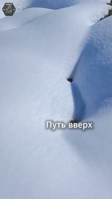 Путь вверх  Подписывайтесь  показываю настоящие горы!