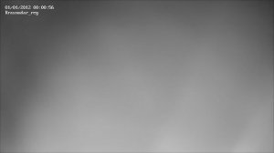 ТВОИ ПЧЁЛЫ - жизнь пчёл в прямом эфире