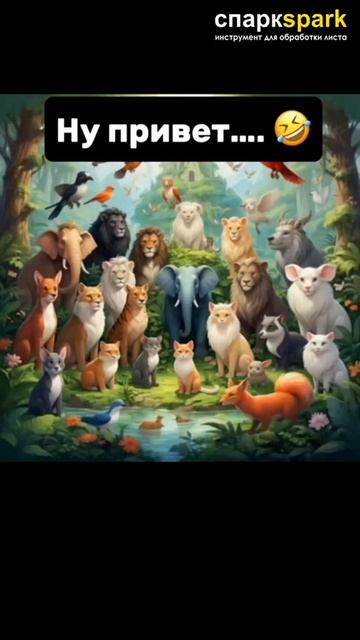 СПАРК тоже есть в МАХ: https://max.ru/id7802194635_biz  ☎️ 8 (812) 765-01-09